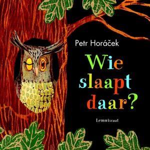 Boek Wie Slaapt Daar?