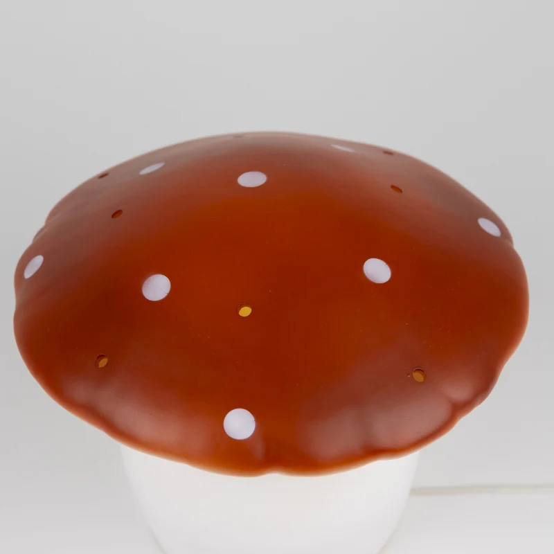 Miniatuur 2