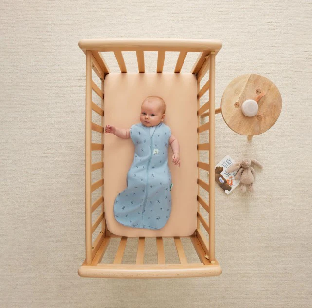 Ergopouch - Slaapzak Winter Cocoon 2.5 TOG Dragonflies | Maat 6-12m - Image 3