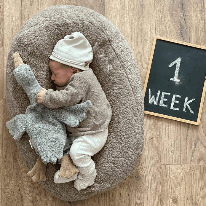 Ilmaha - Hoes Nest Voedingskussen Teddy | Taupe - Image 5