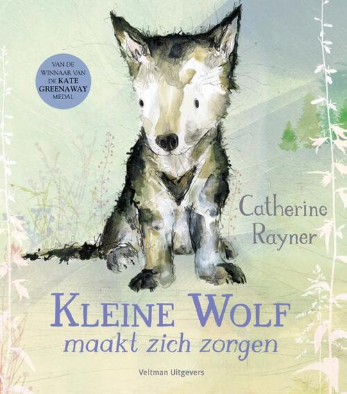 Veltman - Boek Kleine Wolf Maakt Zich Zorgen | Catherine Rayner