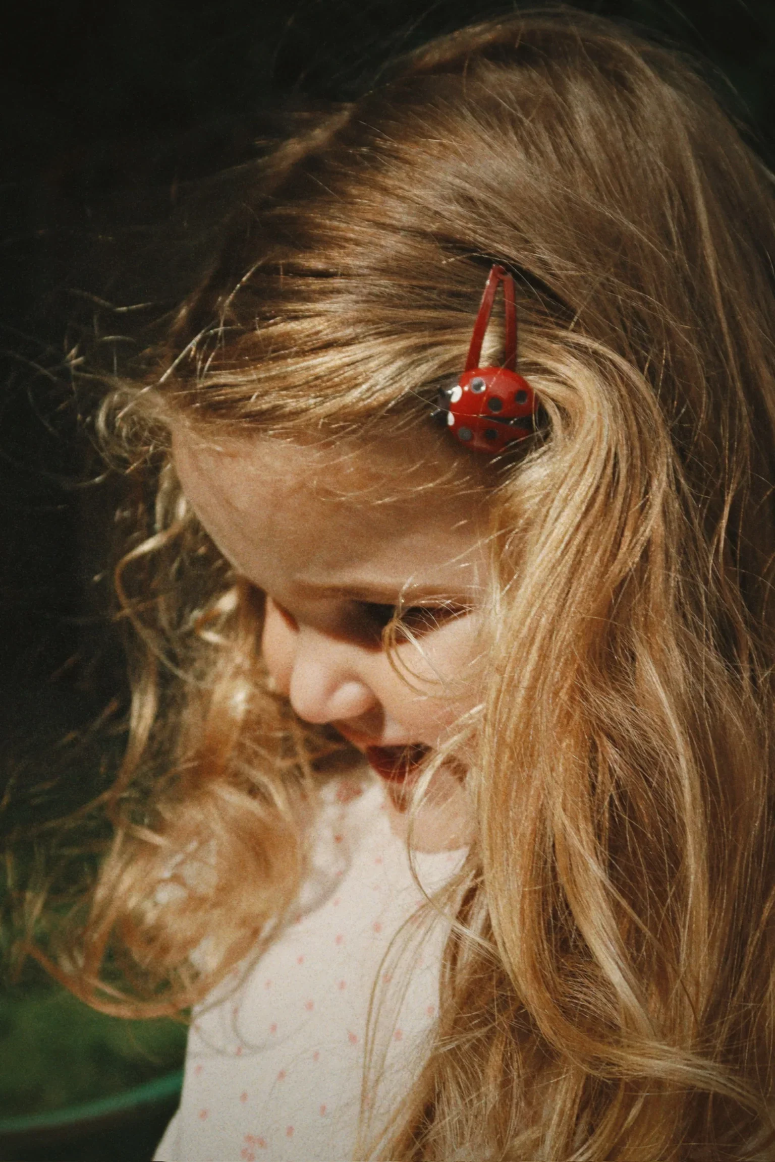 Konges Slojd - Haarclip Set (4pack) | Ladybug - Image 2