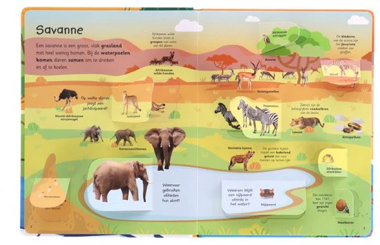 Lannoo - Mijn Grote Flapjesboek Van Alle Dieren | Educatief Flapjesboek - Image 3