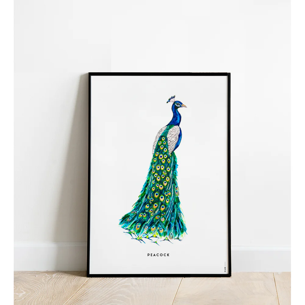 Poster + Kader 30 x 40 cm Pauw
