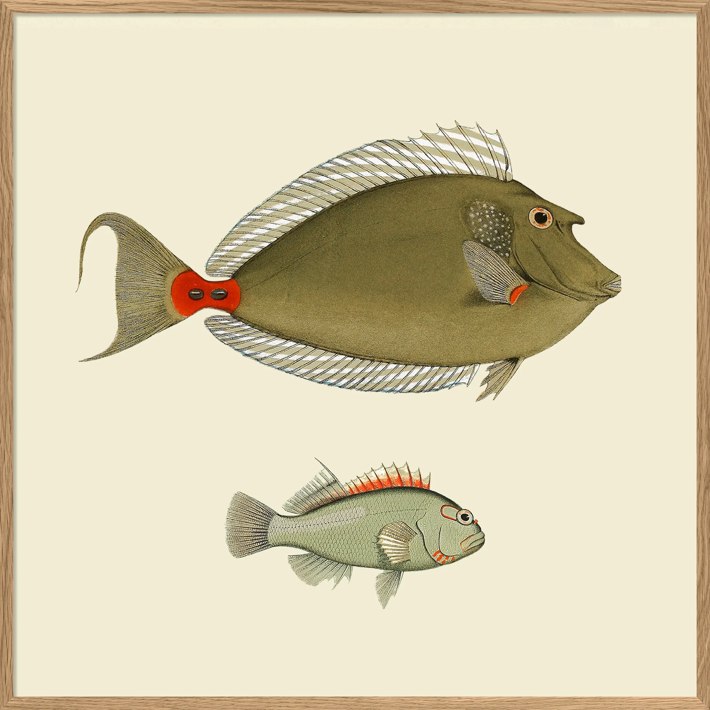 Miniatuur 1