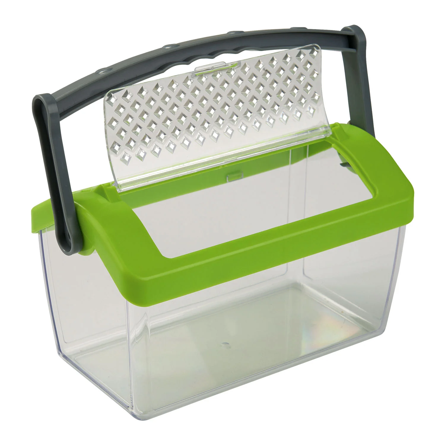Terra Kids - Insectendoos | Doorzichtig met Luchtgaten - Image 2