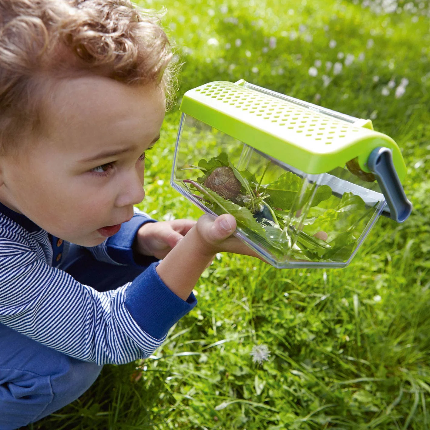 Terra Kids - Insectendoos | Doorzichtig met Luchtgaten - Image 6