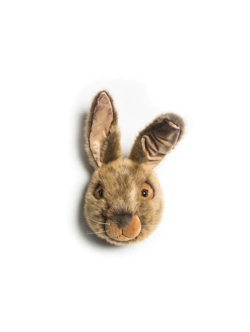 Wild & Soft - Dierenhoofd Lewis Haas | Bruin