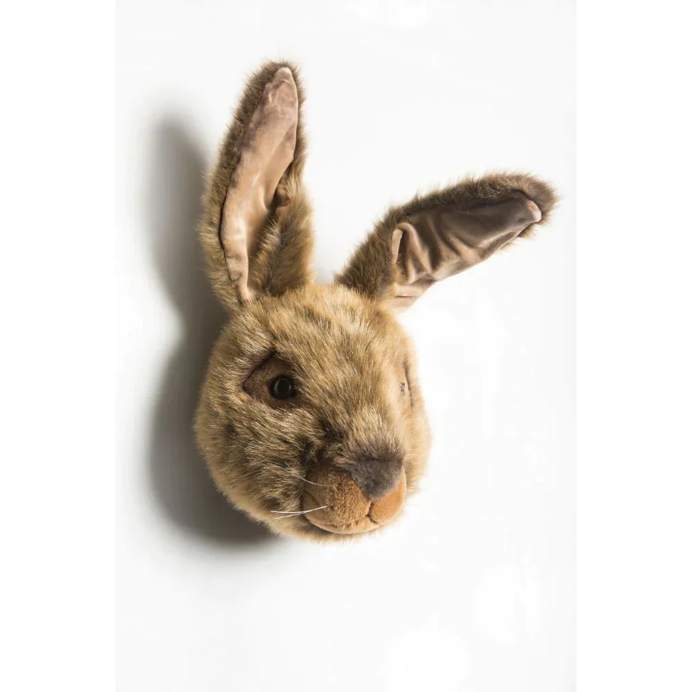 Wild & Soft - Dierenhoofd Lewis Haas | Bruin - Image 2