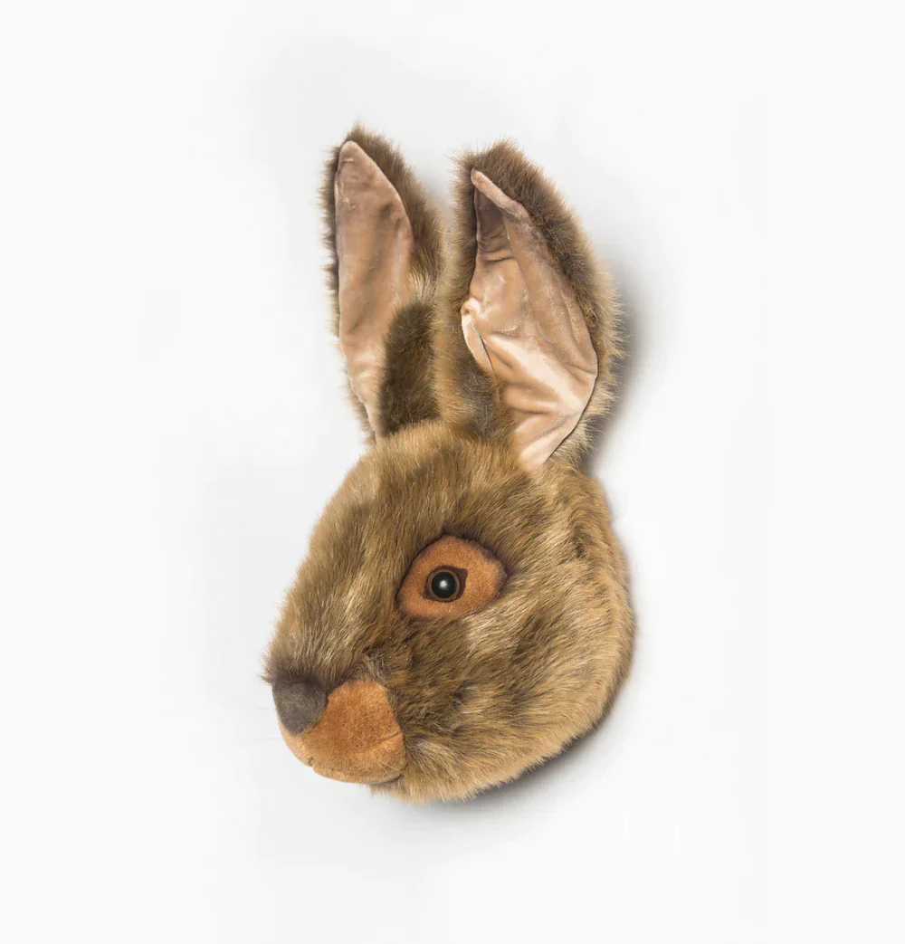 Wild & Soft - Dierenhoofd Lewis Haas | Bruin - Image 3